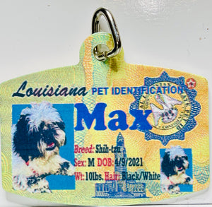 Dog License Tag